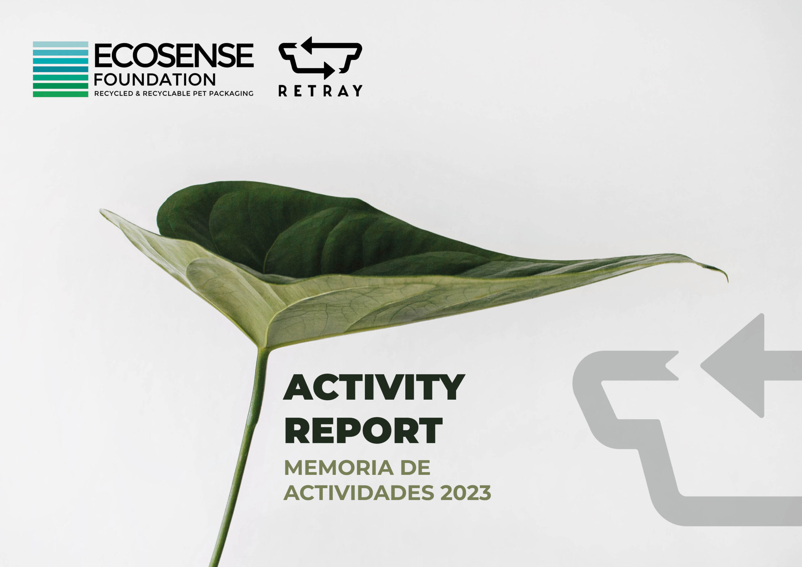 Activity Report 2023